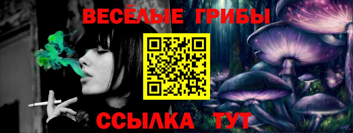 Галлюциногенные грибы MAGIC MUSHROOMS Нальчик