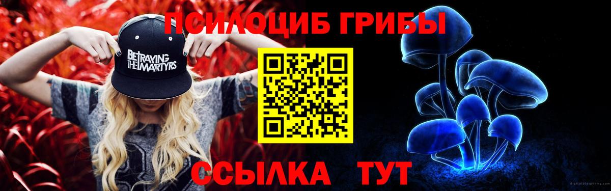 Нальчик  Галлюциногенные грибы мицелий  Вход с VPN 